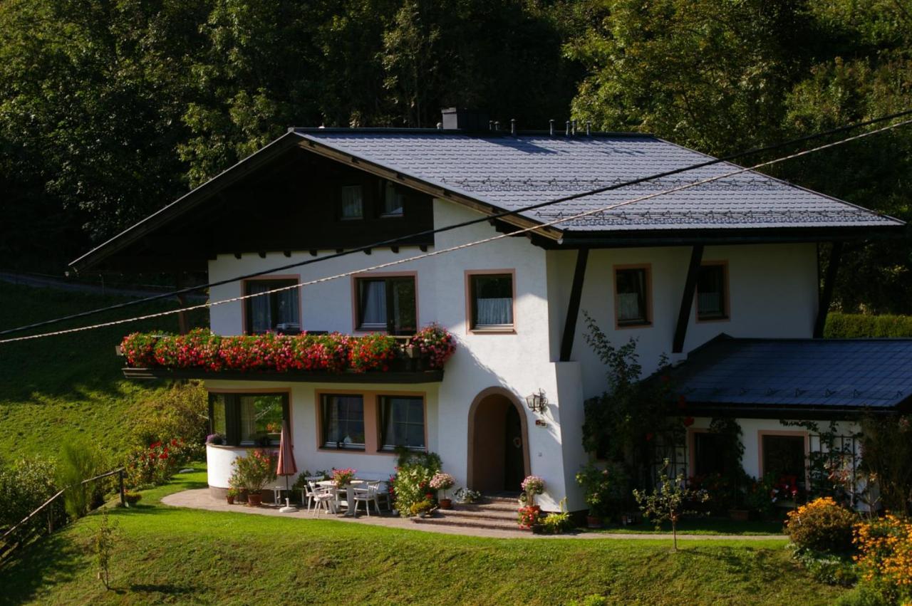Haus Brigitte Rettensteiner سخلادميخ المظهر الخارجي الصورة